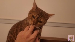 Playing in the furry kitty’s bedroom …. Do you like pussy that lick you carefully?